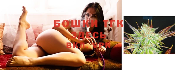 spice Касимов