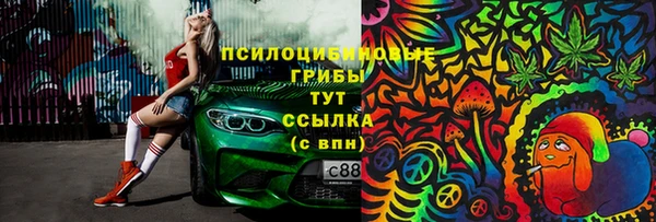 jwh Карпинск
