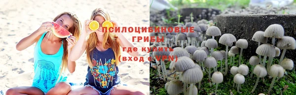 spice Касимов